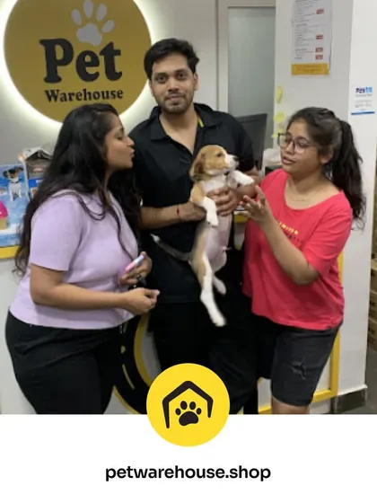 Our grooming services exceed expectations. This happy family is showering their adorable beagle puppy with love after a relaxing and meticulous spa experience at our store.