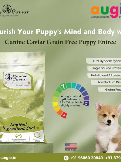 Give your puppy the best start with Canine Caviar's Grain-Free Puppy Entree. It's a 100% hypoallergenic, single-source protein food that is holistic, alkalizing, and gluten-free to nourish their growing mind and body.