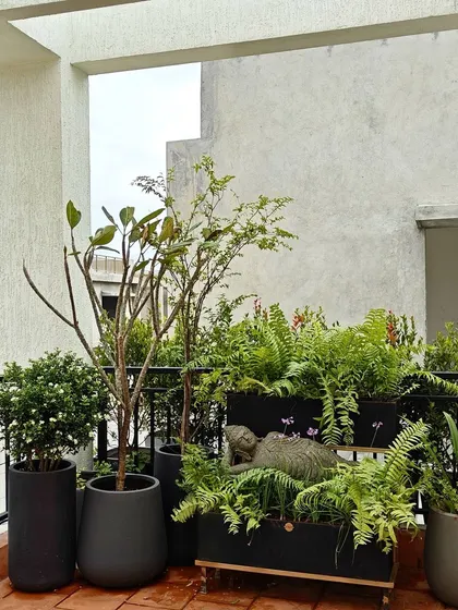 A beautifully crafted balcony garden by a client, featuring a cluster of my modern black planters and a serene reclining Buddha statue.