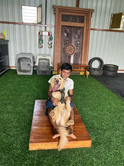Play and training go hand in hand. This happy Golden Retriever is enjoying a moment of fun with her owner in our indoor training area.
