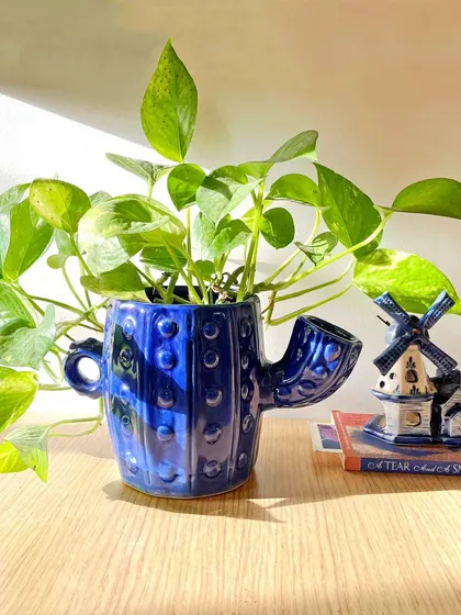 Add a bit of fun to your decor with my Albus cactus-shaped ceramic planter. Its quirky design and deep blue glaze are sure to bring a smile to your face.
