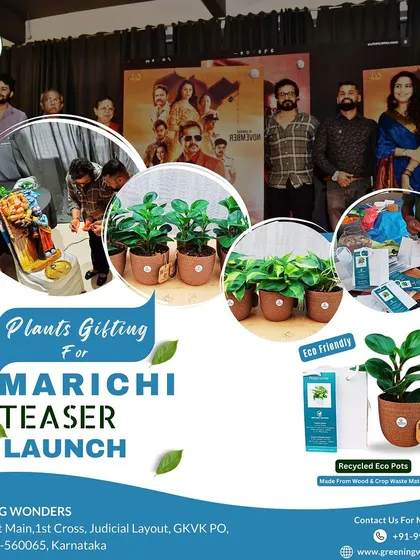 A collage from the "Marichi" teaser launch event, showcasing the eco-friendly plant gifts we provided. This is a great example of green gifting for media and launch events.