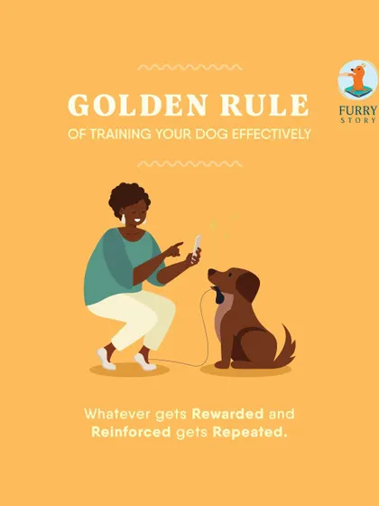 This is the golden rule of my training method. Whatever behavior gets rewarded and reinforced is the behavior that will be repeated. It's a simple but powerful principle for effective dog training.