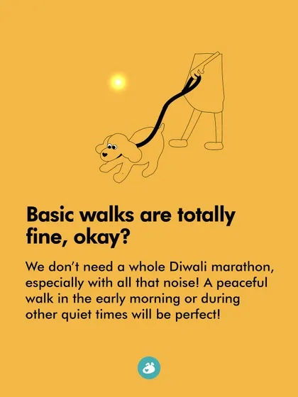 A message from the dogs for Diwali: Basic walks are fine. We don't need a marathon, especially with all the noise. A quiet morning walk is perfect.