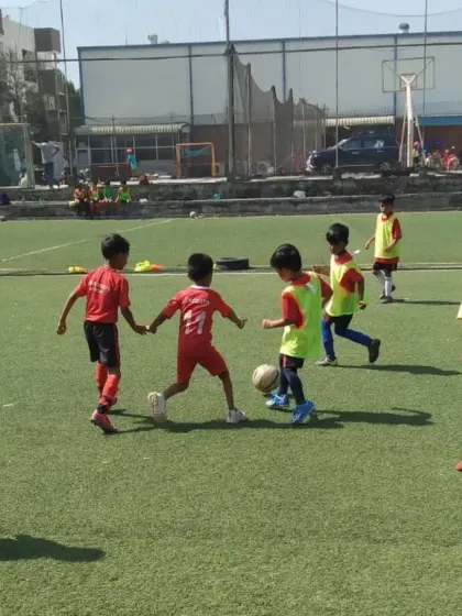 Young players in a small-sided game, learning about teamwork and spatial awareness in a playful setting.