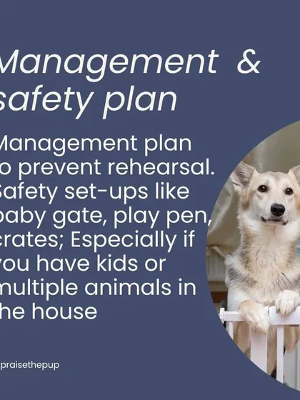 This series outlines what to do if your dog shows signs of resource guarding: understand body language, identify triggers, create a safety plan, and get professional help.