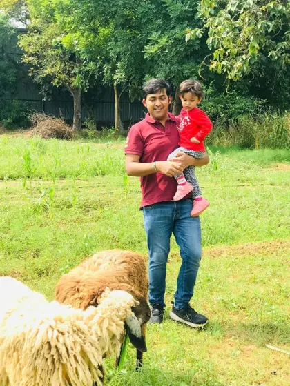 A father holding his child while they watch the sheep graze in the field.