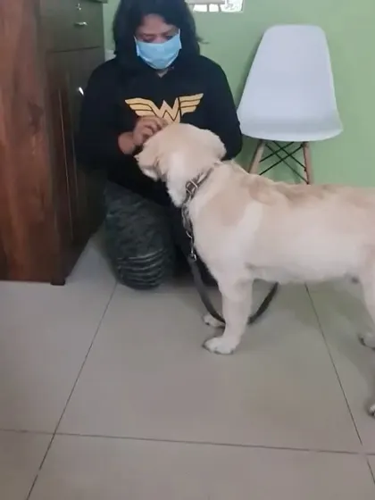 A throwback to training Gopi as a puppy. Every gentle interaction and reward-based lesson contributed to the amazing, trustworthy adult dog he is today.