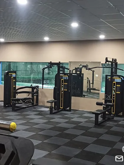 An overview of our fully equipped professional gym, featuring a wide range of strength machines and cardio equipment to support diverse fitness goals.