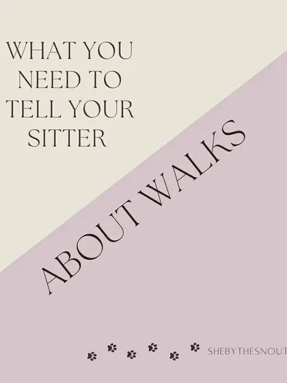 Walks are a critical part of a dog's day. Before we even step outside, I make sure I know everything about your dog's walking habits and needs.