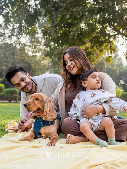 A candid family photo in a park, capturing a moment of genuine laughter and connection.