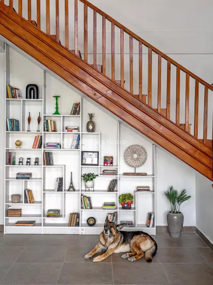 Our custom-designed under-staircase bookshelf, shown here with the family's beloved German Shepherd. This piece is a testament to our ability to create smart, beautiful, and pet-friendly storage solutions.