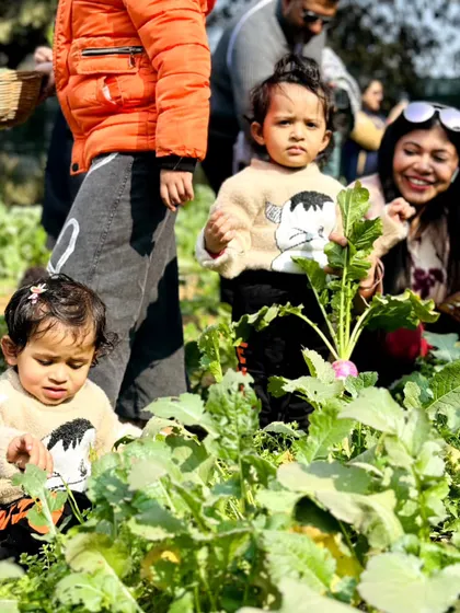 Toddlers exploring the vegetable patch. It's never too early to introduce children to the wonders of nature and where their food comes from.