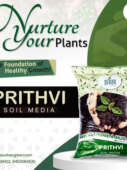 Nurture your plants from the very beginning with Prithvi Soil Media. It is the true foundation of healthy growth, providing the rich, organic base that every plant needs to thrive from seed to harvest.