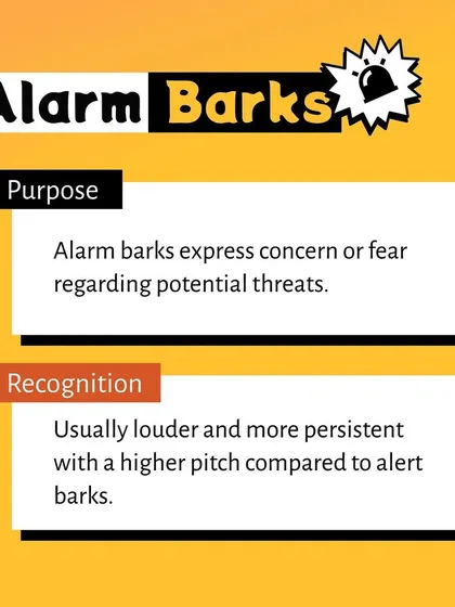This infographic helps you recognize an alarm bark, which expresses fear or concern. These barks are typically louder and more persistent, indicating your dog perceives a threat.