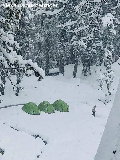 A lone figure walks through a clearing with three green tents pitched in the deep snow. This image conveys the quiet and peacefulness of the winter forest.