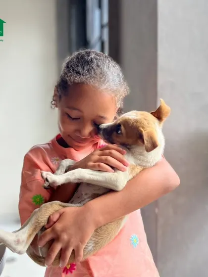 A young girl cradles a trusting puppy in her arms, a beautiful picture of the bond formed at our events.