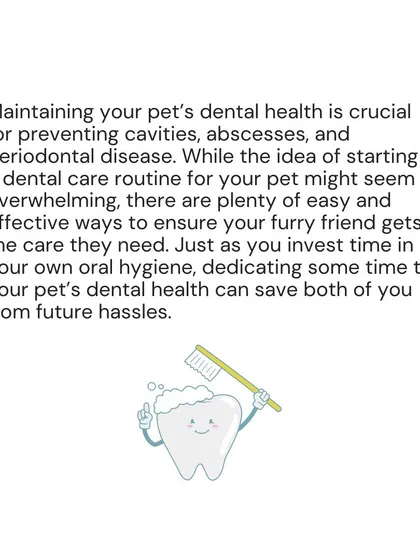 Investing time in your pet's dental health can save you both from future hassles. A simple routine can prevent serious issues like cavities, abscesses, and periodontal disease.