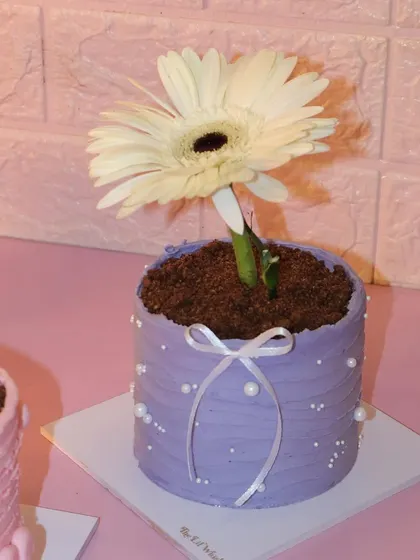 Our lavender flower pot mini cake, decorated with delicate pearl sprinkles and a white ribbon. It's topped with a beautiful white gerbera daisy.