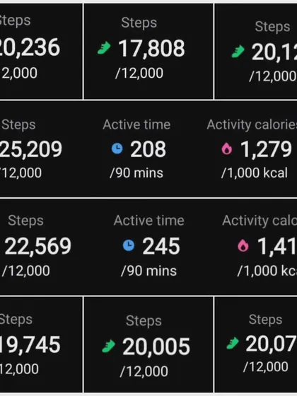 The numbers don't lie. A collage of a client's daily activity metrics, showing high step counts and active time. This is the data-driven accountability we use to track progress.