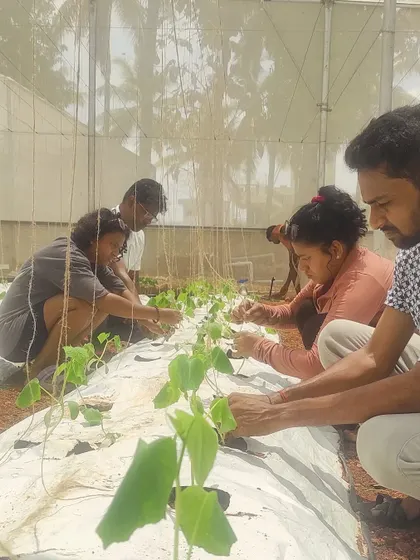 Teamwork makes the dream work. Trainees from our April 2025 batch collaborate on planting, sharing knowledge and building skills together in the greenhouse.