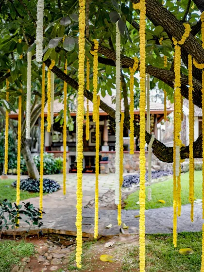 Yellow flower garlands hanging from the trees add a touch of sunshine and tradition to this outdoor wedding space at Angana Courtyard.