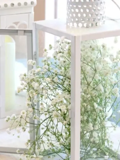 A minimalist and modern decorative accent. Sprays of baby's breath are placed inside clean, white lanterns, perfect for adding a fresh touch to registration desks or lounge areas.