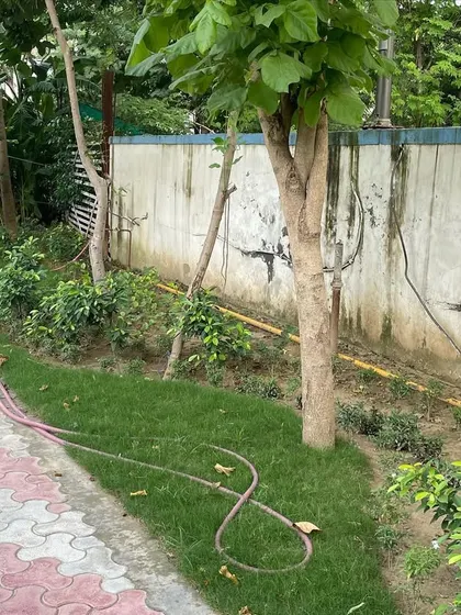 Even simple elements like a boundary wall can be improved with greenery. Here, new turf and shrubs soften the edge of the property, though maintenance like cleaning the wall is also part of a complete care plan.