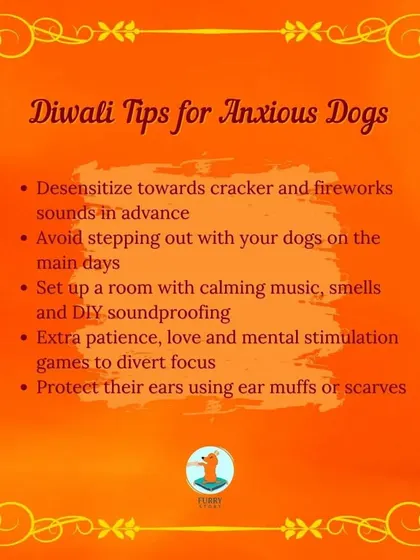 Diwali can be a scary time for dogs due to loud fireworks. This guide offers tips for anxious dogs, including desensitizing them to sounds in advance, creating a safe room, and using calming enrichment games to divert their focus.