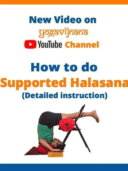 This instructional graphic shows how to practice a supported Halasana (Plow Pose) using a chair. This modification is wonderful for releasing tension in the back and shoulders.