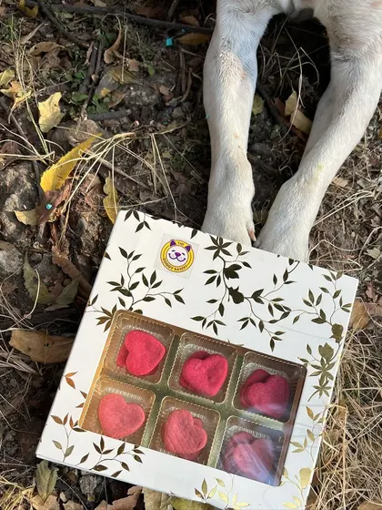 Our Valentine's gift box, filled with heart-shaped berry chicken biscuits. It's a beautiful and healthy way to treat your most loyal companion.