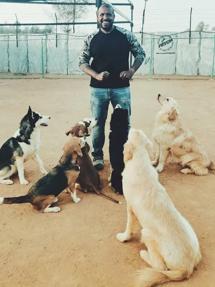 This is what leadership looks like. In my board and train program, dogs of all breeds, sizes, and temperaments learn to coexist in a structured pack. They learn boundaries from me and from each other, creating a foundation of social stability that is crucial for a balanced dog.