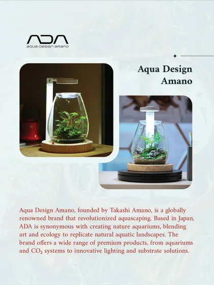 Featuring Aqua Design Amano, a brand that blends art and ecology to create stunning nature aquariums. They brought a unique element of design to our Christmas Market.