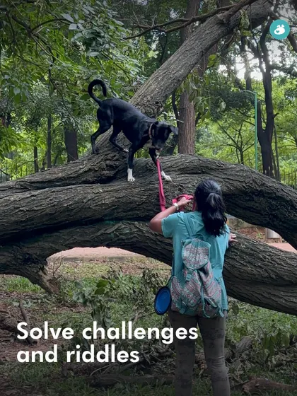 A pet parent helps her dog navigate a fallen tree, one of the natural challenges in our Treasure Hunt. These activities build trust and teamwork.