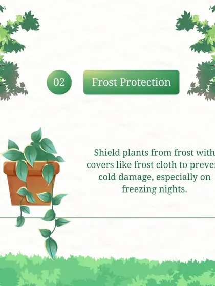 Shielding plants from frost is a key part of our winter maintenance service. We use covers like frost cloth to prevent cold damage, especially on freezing nights.