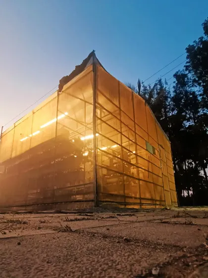 One of our hydroponic pods glowing at sunset. These controlled environments are the heart of our operation, allowing us to grow fresh produce reliably, no matter the season.