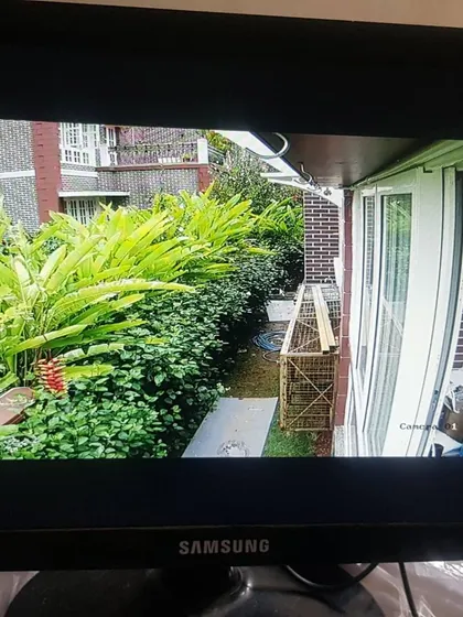 A live feed showing the view from a newly installed camera overlooking a garden path.