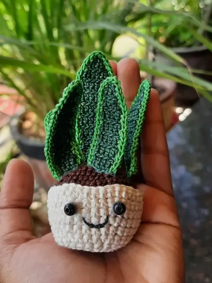 Want a plant that you can't kill? I've got you! I can make all sorts of crochet plants, like this happy little succulent, to brighten up your desk without any of the watering.