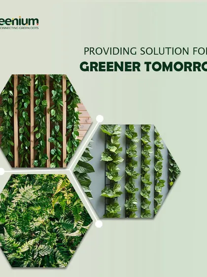 Providing solutions for a greener tomorrow. This image collage showcases different styles of vertical gardens, from simple ivy panels to dense, fern-covered walls.