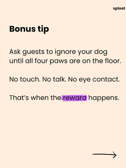 Here is a bonus tip for managing a jumping dog. Ask your guests to completely ignore your dog until all four paws are on the floor. The reward only happens when they are calm.