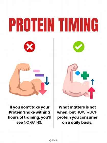 Protein Timing Myth: Do you need a protein shake within 2 hours of training? We explain why total daily protein intake matters more than timing.