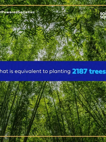 The environmental impact of the Maurishka Palace project is equivalent to planting 2187 trees, creating a greener future for the entire community.
