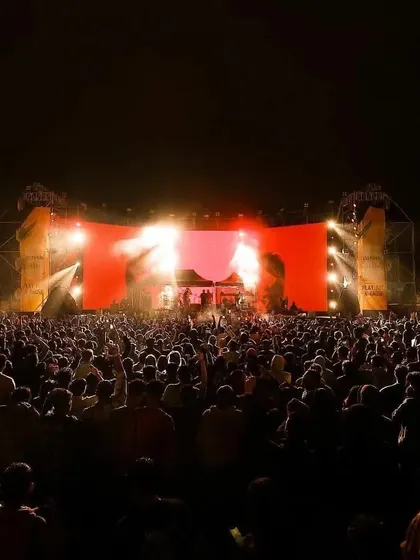 A wide shot of the massive crowd at the Steppinout festival. I know how to command a huge audience and deliver a set that keeps thousands of people moving.