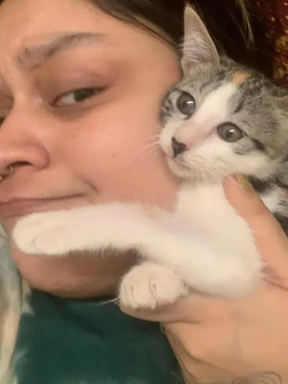 Ngl, the cuddles are the best payment. 🫶🏼 This little one reminds me why I do what I do. Every cat, whether a pet or a street billi, deserves love, care, and a chance to live a healthy life.