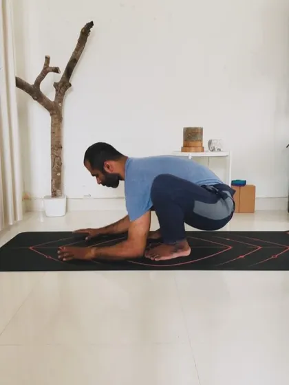 The path to Nakarasana starts with foundational poses. Here we see the progression from a preparatory squat to Kakasana (Crow Pose), building the necessary pelvic tension and spinal extension.