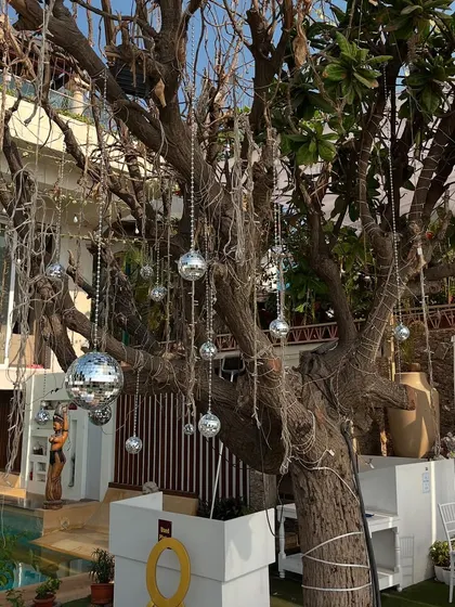 Follow the call of the disco ball! I love hanging disco balls from trees to create a magical, sparkling effect for outdoor evening parties.