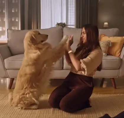 A heartwarming scene from the Agaro commercial. Even with a dog in the shot, the makeup for the actress remains fresh and in place.
