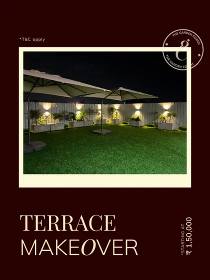 A full terrace makeover creates an invaluable asset for any home or office. This image showcases a completed project with large umbrellas, planters, and lighting, ready for any event.
