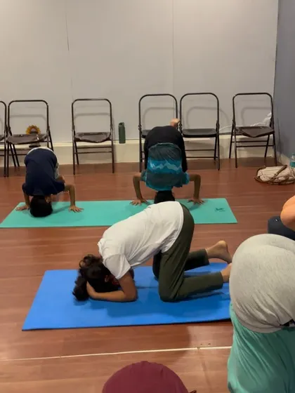 Students work on the preparatory stages of Sirsasana (Headstand), building the necessary neck and shoulder strength safely.