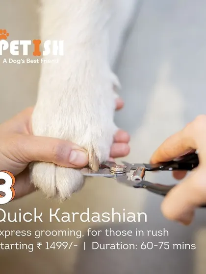 My "Quick Kardashian" package is perfect for a fast and efficient groom. It includes all the essentials to get your pet looking sharp when you're short on time.